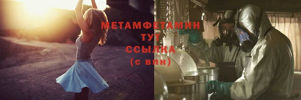 индика Нягань