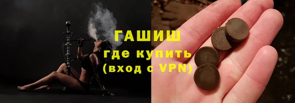 индика Нягань