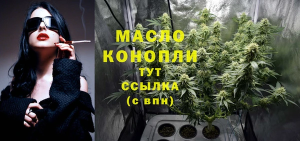 индика Нягань