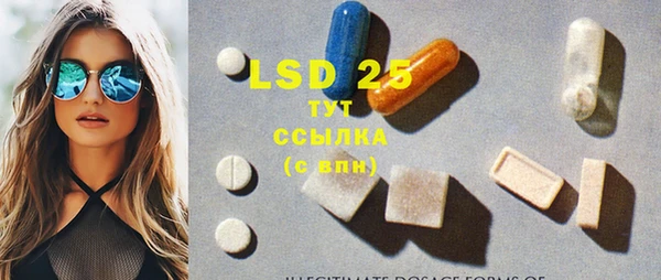 индика Нягань