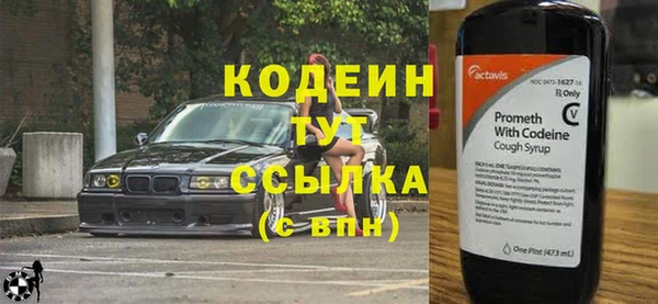 индика Нягань