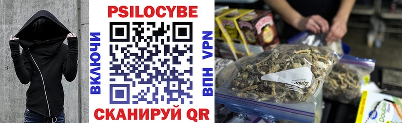 Псилоцибиновые грибы прущие грибы  где купить наркоту  Кирово-Чепецк 